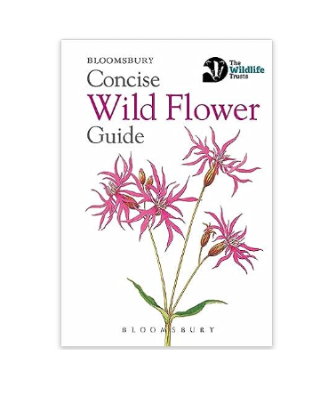 Concise Guide - Wild Flower- Paperback Book
