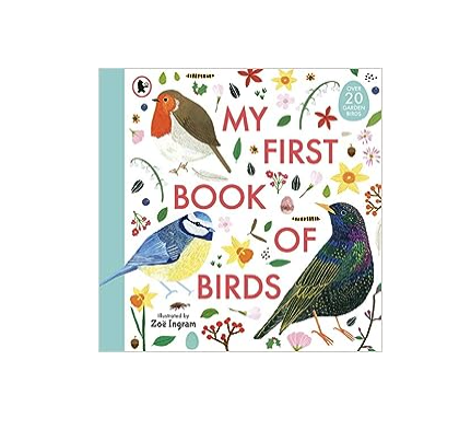 My First Book of Birds - Paperback Book