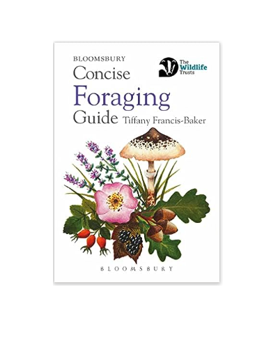 Concise Guide - Foraging - Paperback Book