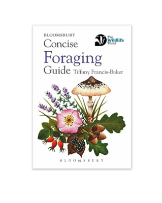 Concise Guide - Foraging - Paperback Book