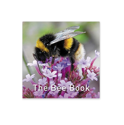 The Bee - Hardback Book