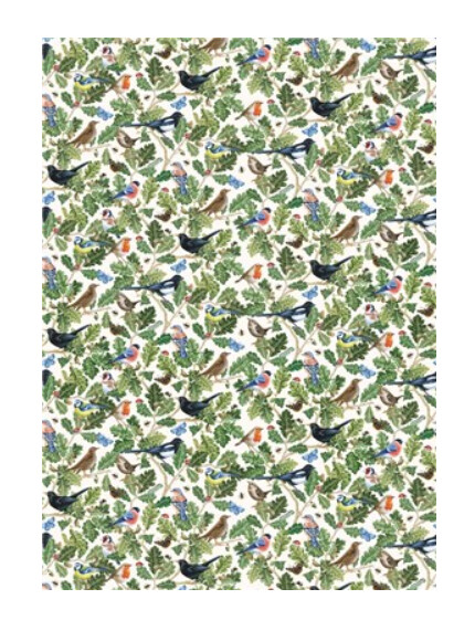 The Art File - Birdsong &amp; Leaves Gift Wrap - 3m x 70cm