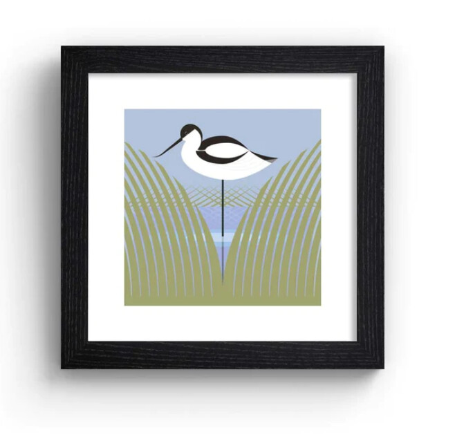 Tall Boy Prints - Avocet Print - Black Frame