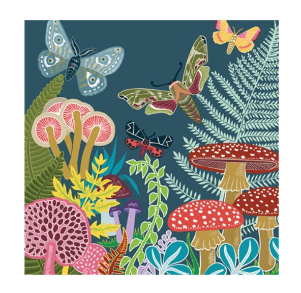 The Art File - Mushrooms and Moths Card - Kate Heiss