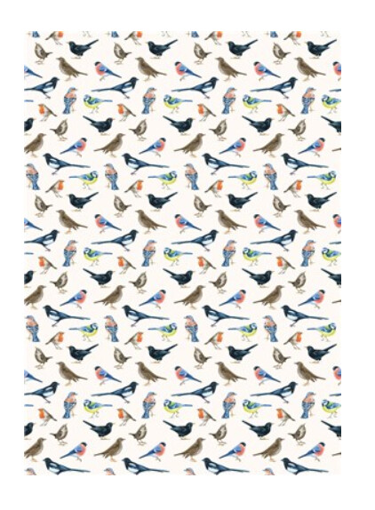 The Art File - Birdsong Gift Wrap - 3m x 70cm