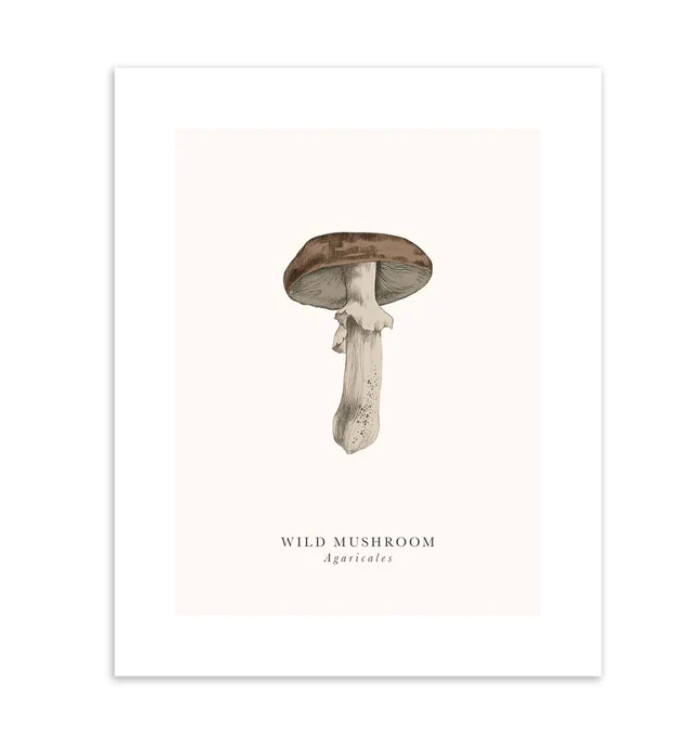Tall Boy Prints - Wild Mushroom Print - No Frame