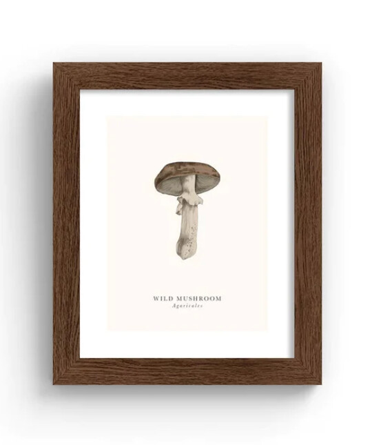 Tall Boy Prints - Wild Mushroom Print - Black Frame