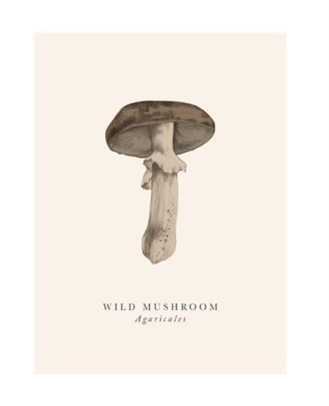 The Art File - Wild Mushroom Card