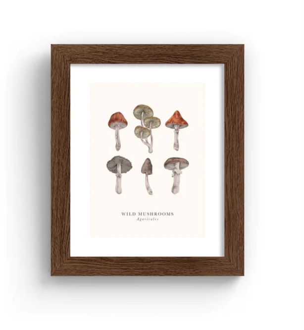 Tall Boy Prints - Multiple Wild Mushrooms Print - Black Frame