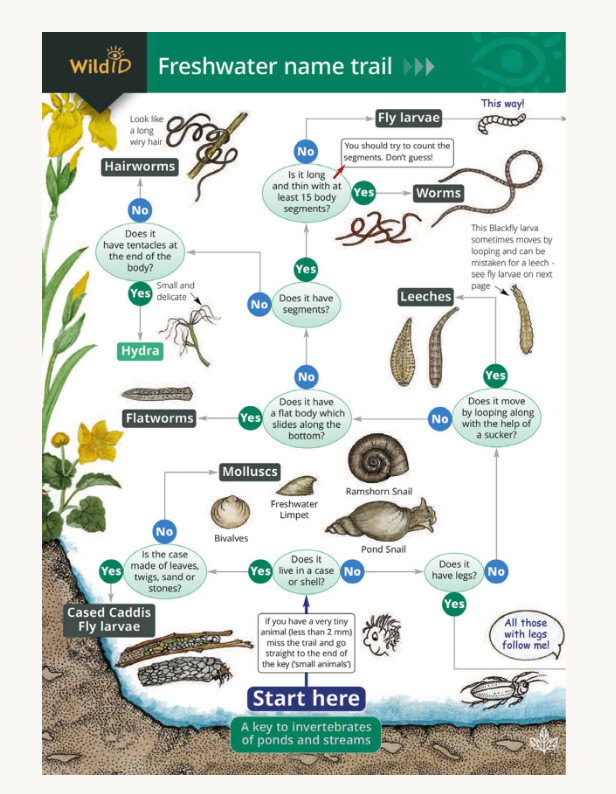 FSC - Guide to Freshwater Name Trail