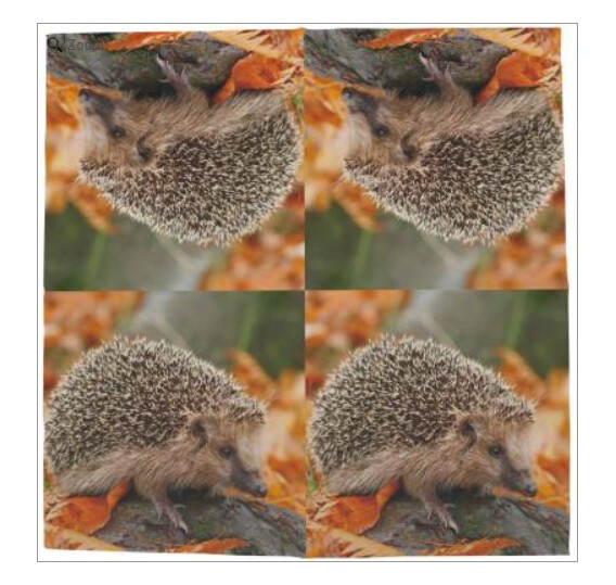 Fallen Fruits - Hedgehog Napkins