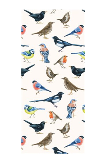 The Art File - British Birds Tissue Paper