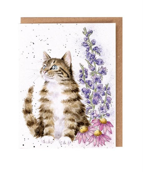 Wrendale Designs - &#39;Whiskers and Wild Flowers&#39; Seed Card