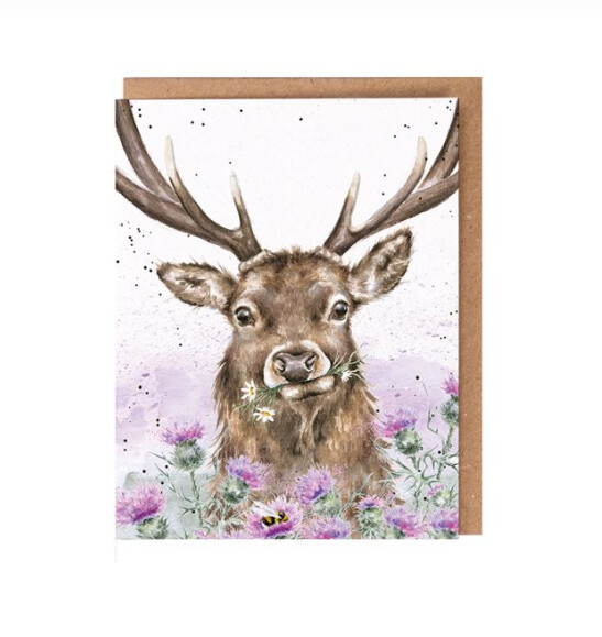 Wrendale Designs - &#39;Thistle Make You Smile&#39; Seed Card