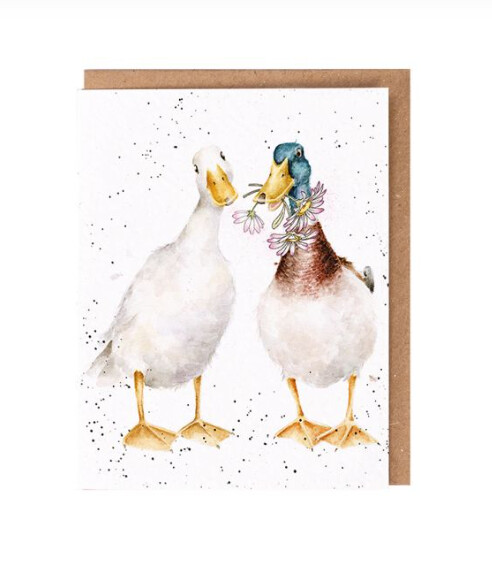 Wrendale Designs - &#39;Not a Daisy Goes By&#39; Seed Card