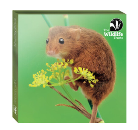 Wildlife Trust - British Mammals Note Card Set