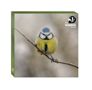Wildlife Trust - TWT British Birds Card Set