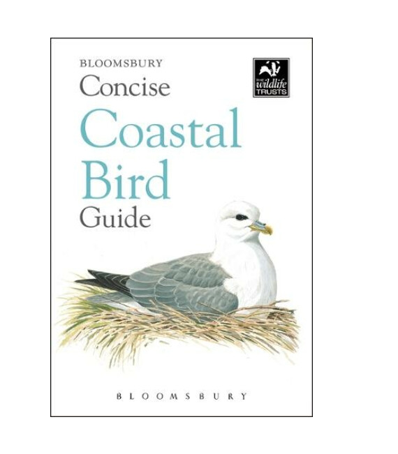 Concise Guide - Coastal Birds - Paperback Book