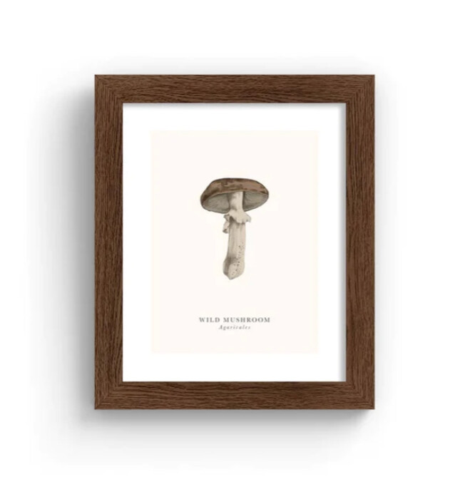 Tall Boy Prints - Wild Mushroom Print – Oak Frame