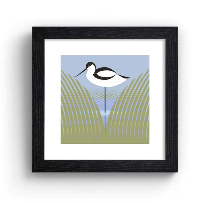 The Art File - Avocet Print (Stewart Cox) – Black Frame
