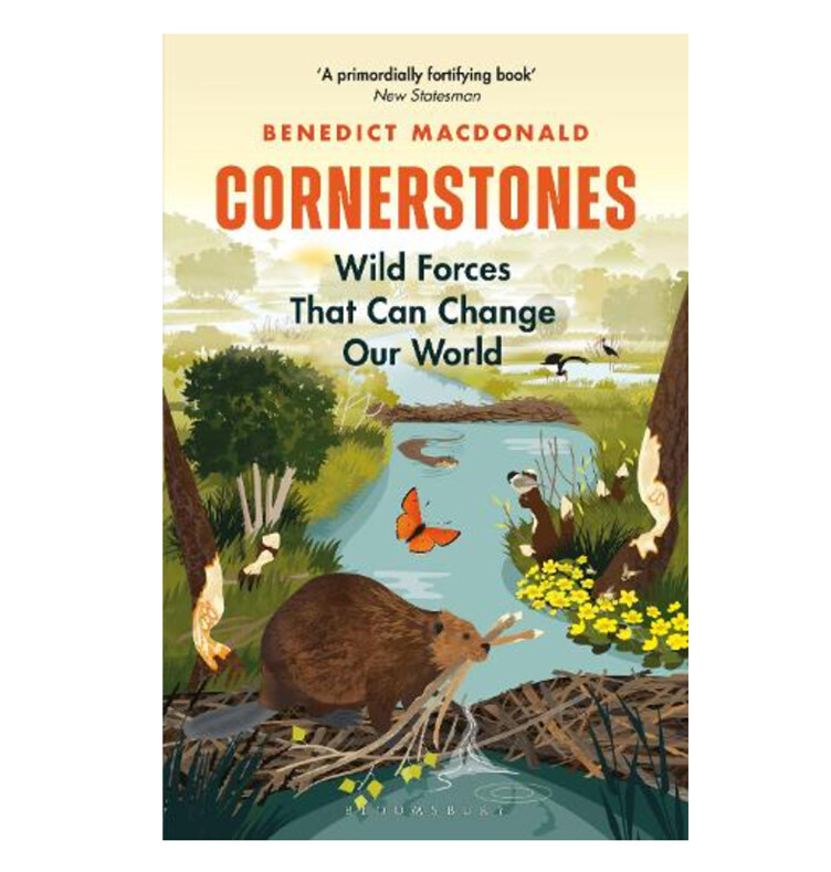 Cornerstones - Wild Forces That Can Change Our World - Paperback Book