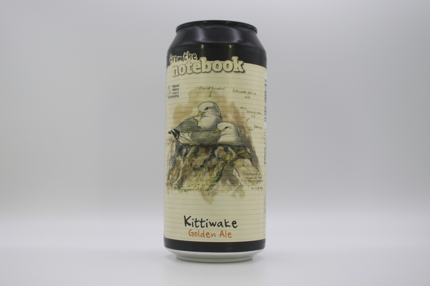 From The Notebook - Kittiwake Can