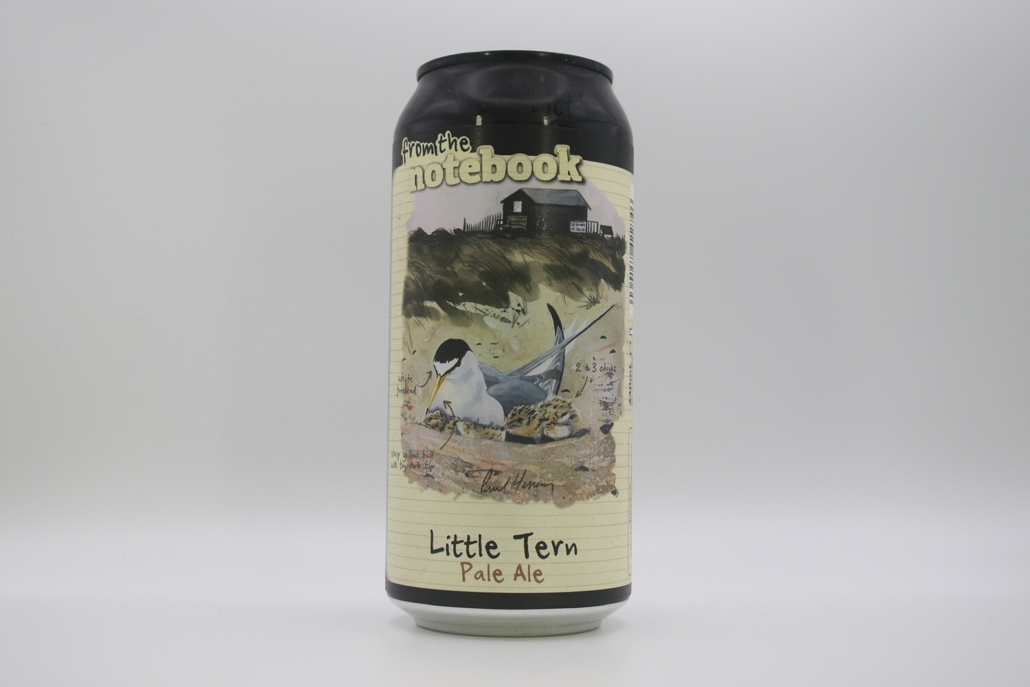 From The Notebook - Little Tern - Can
