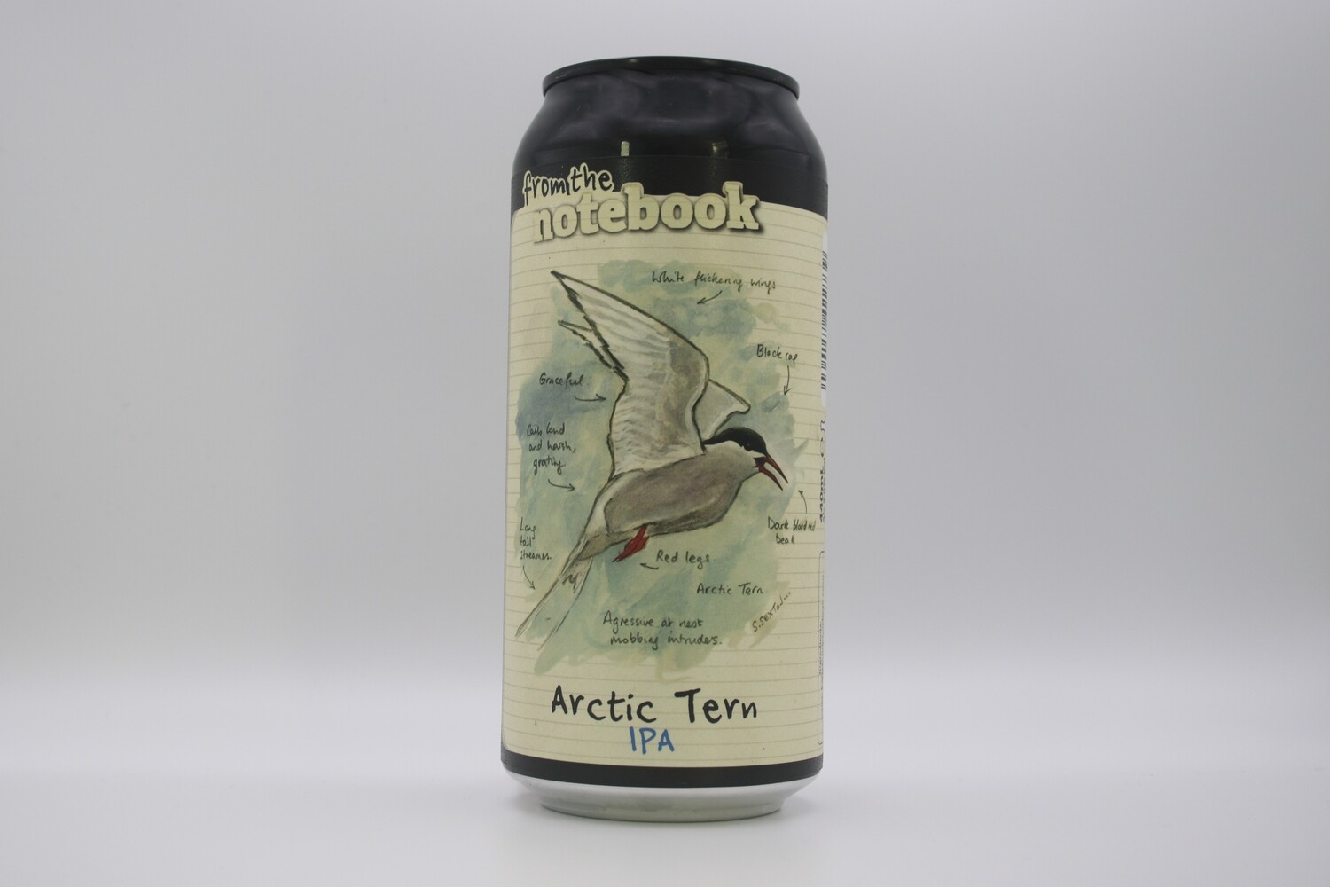 From The Notebook - Arctic Tern - Can