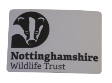 Branded - Fridge Magnet