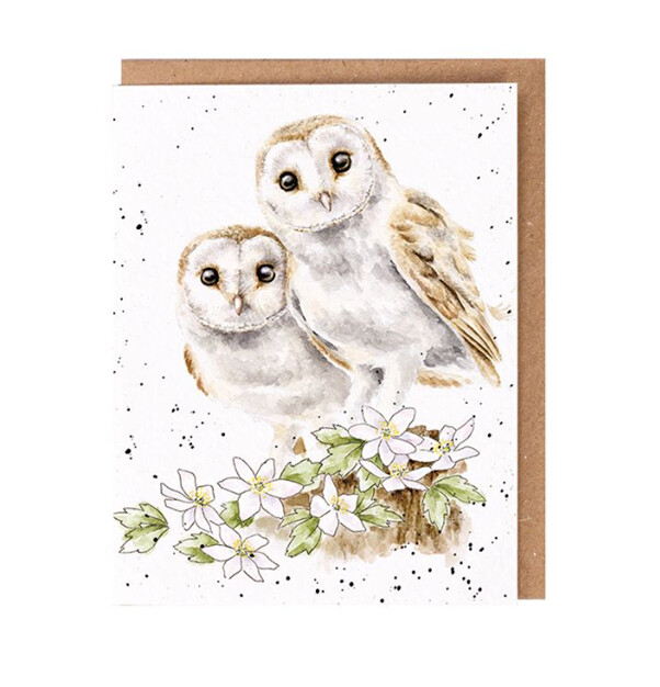 Wrendale Designs - &#39;Hooting for you&#39; Seed Card
