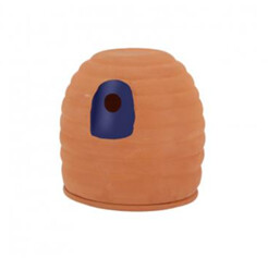 Fallen Fruits - Bumble Bee Pot