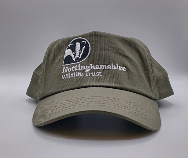 Branded - Cap - Olive Green