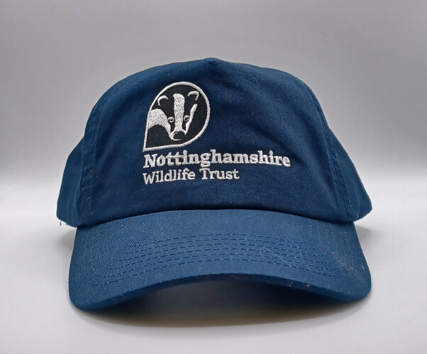 Branded - Cap - Navy Blue