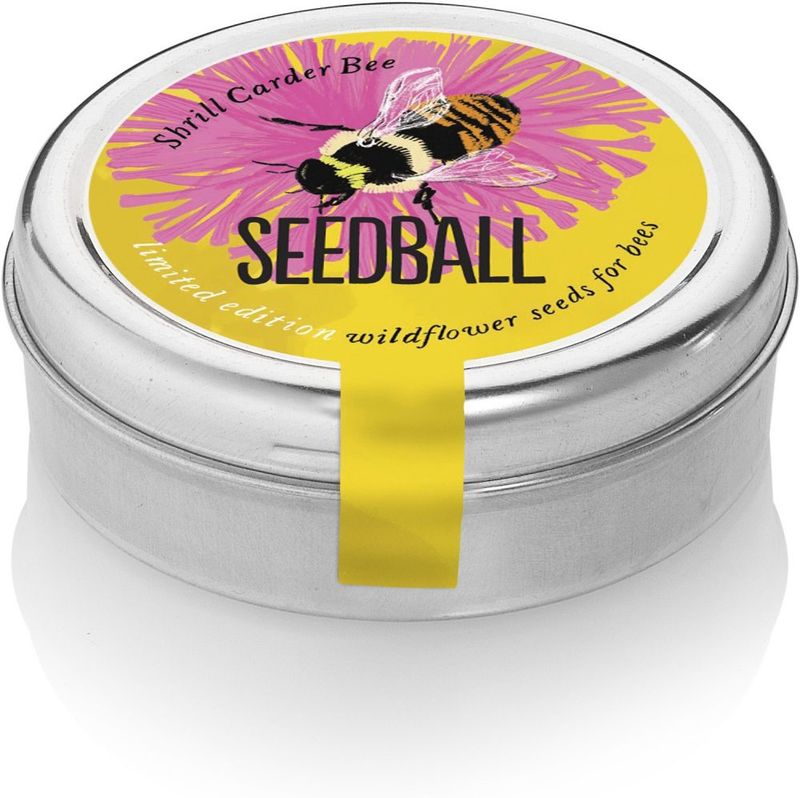 Seedball - Tin Shrill Carder Bee