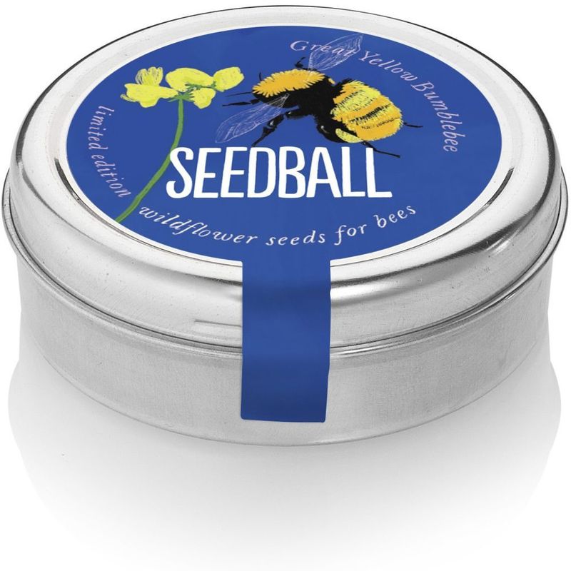 Seedball - Tin Great Yellow Bumblebee