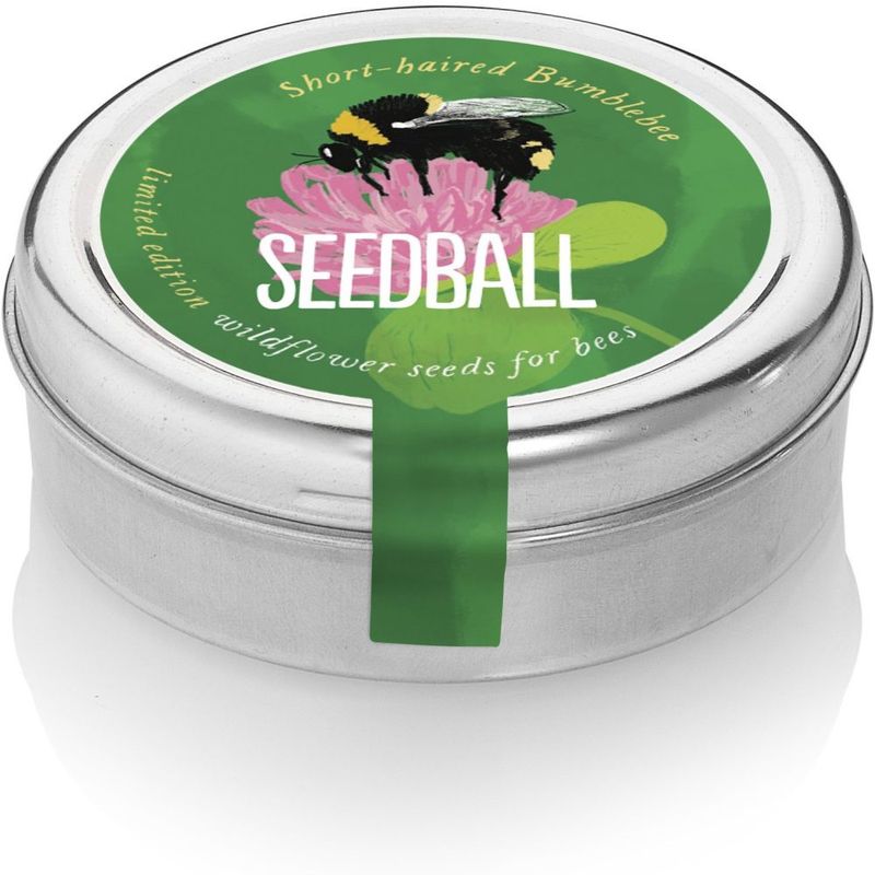 Seedball - Tin Short-haired Bumblebee
