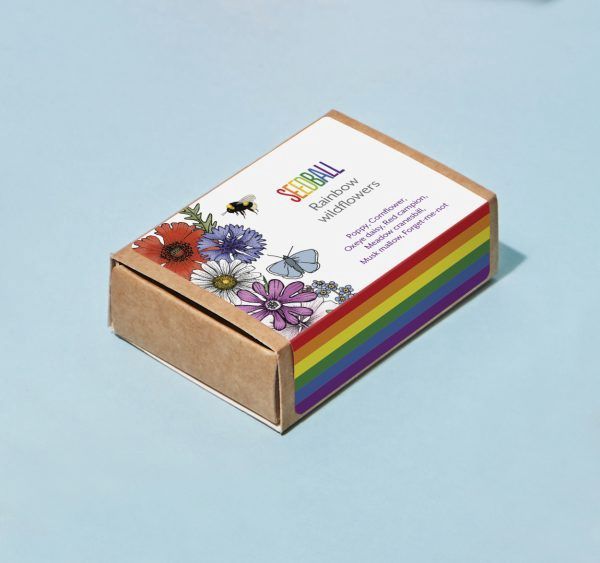 Seedball - Seed Box (Rainbow Wildflowers)