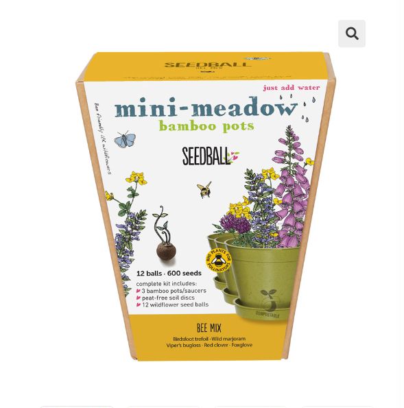 Seedball - Mini Meadow Bamboo Pot - Bee Mix