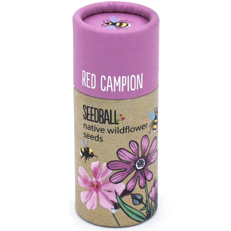 Seedball - Tube (Red Campion)