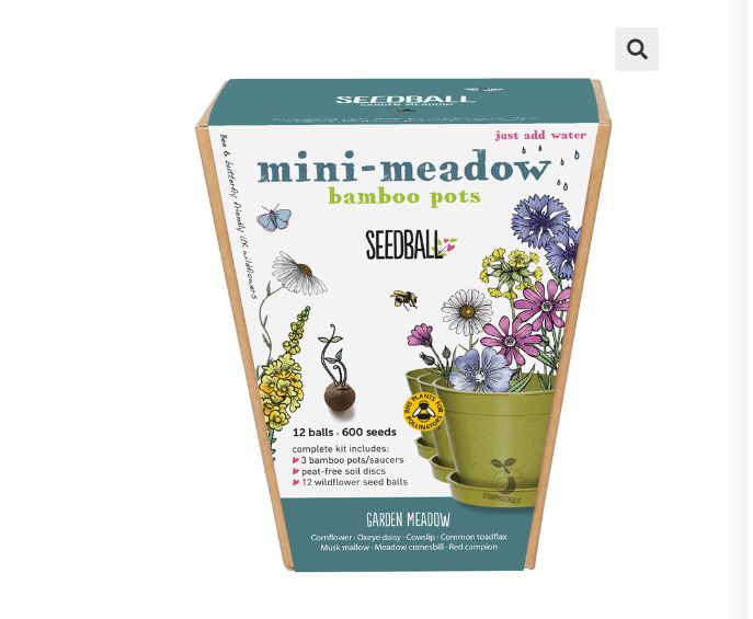 Seedball - Mini Meadow Bamboo Pots - Garden Meadow