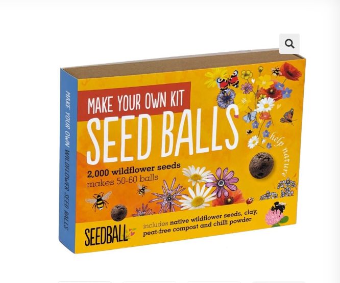 Seedball - Make Your Own Kit - Flowers for Bees