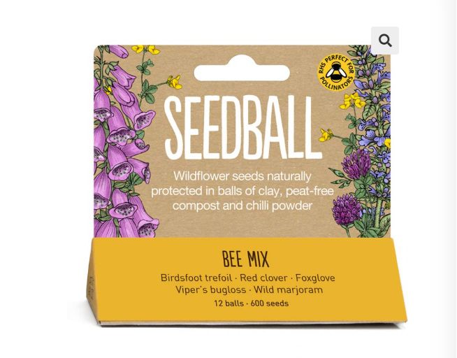 Seedball - Hanging Pack - Bee Mix