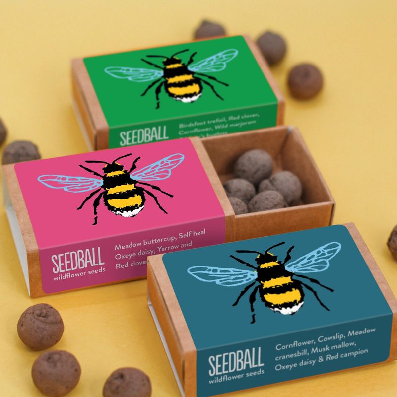 Seedball - Seed Box (Bee Green)
