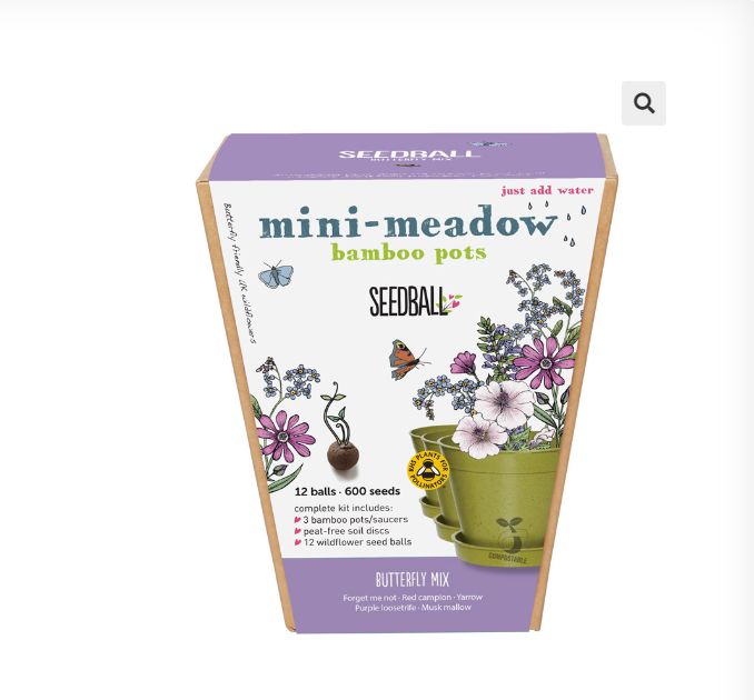 Seedball - Bamboo Pots - Butterfly Mix