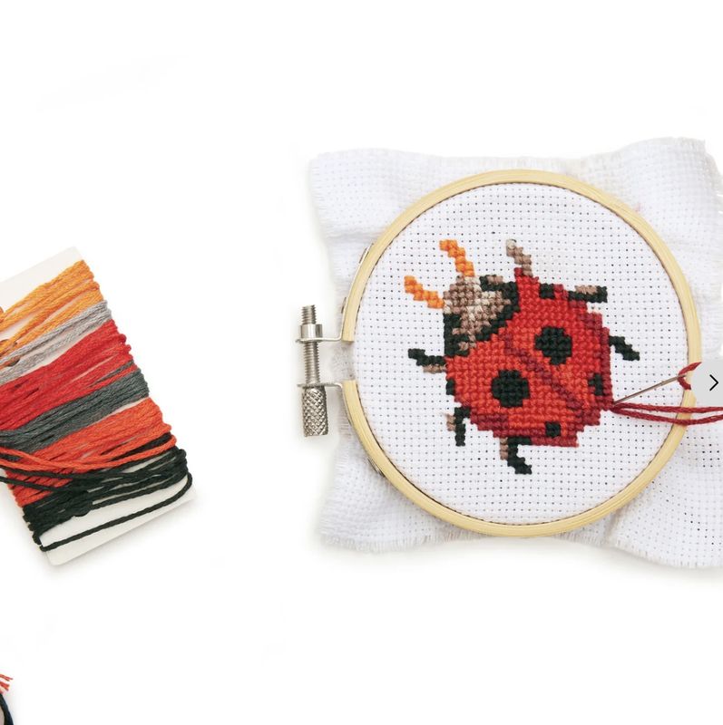 Kikkerland - Mini Cross Stitch Embroidery Kit - Ladybug