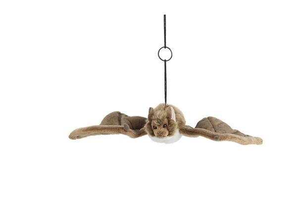 Keycraft - Bat - Large - Living Nature