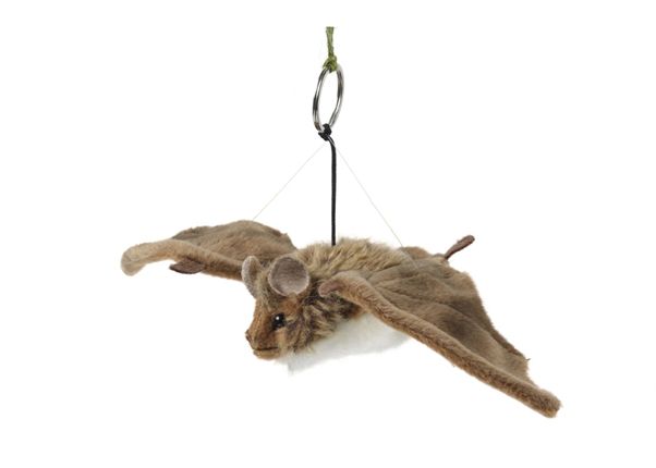 Keycraft - Bat - Small - Living Nature