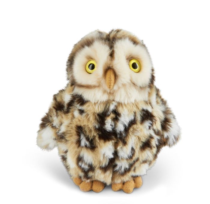 Keycraft - Little Owl - Small - Living Nature