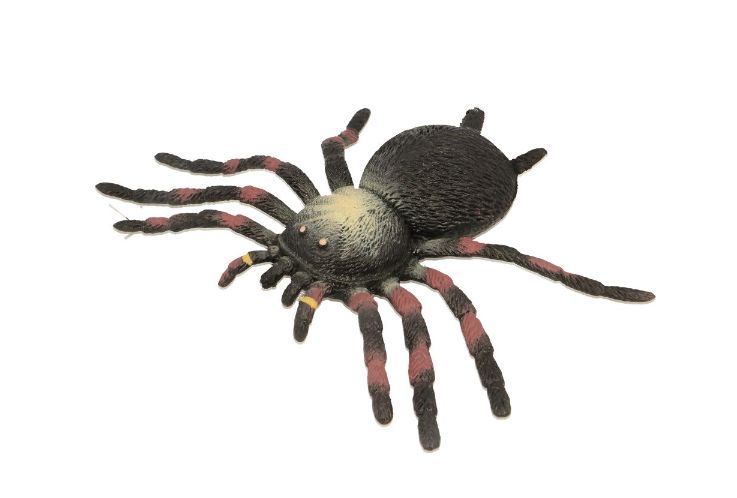 Keycraft - Stretchy Spider