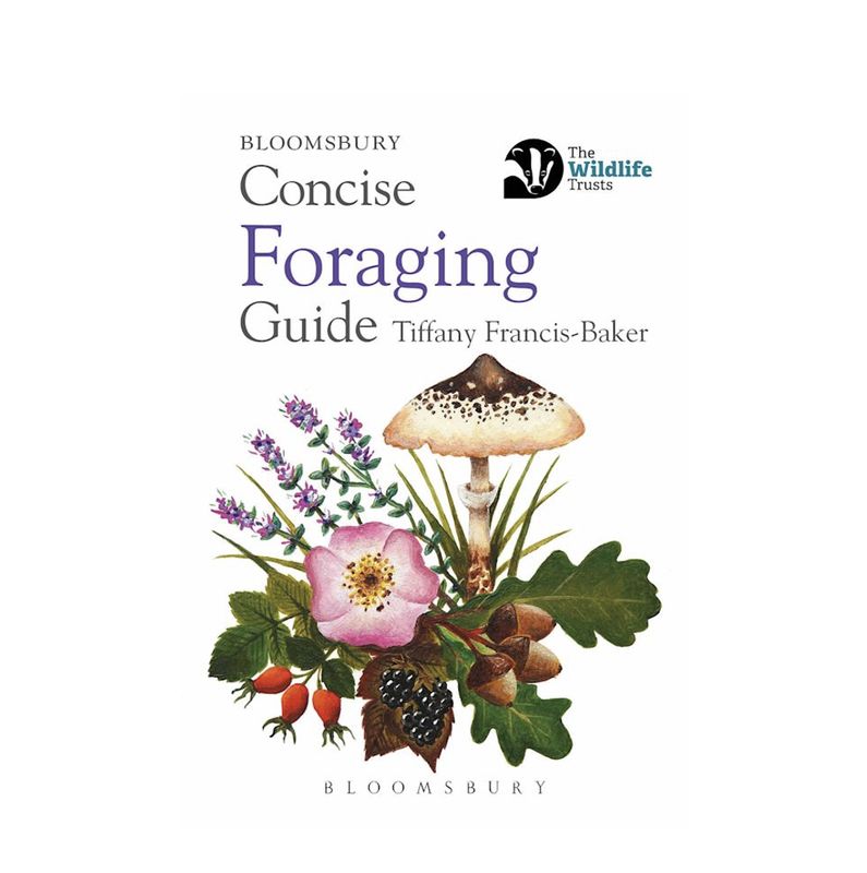 Concise Foraging Guide